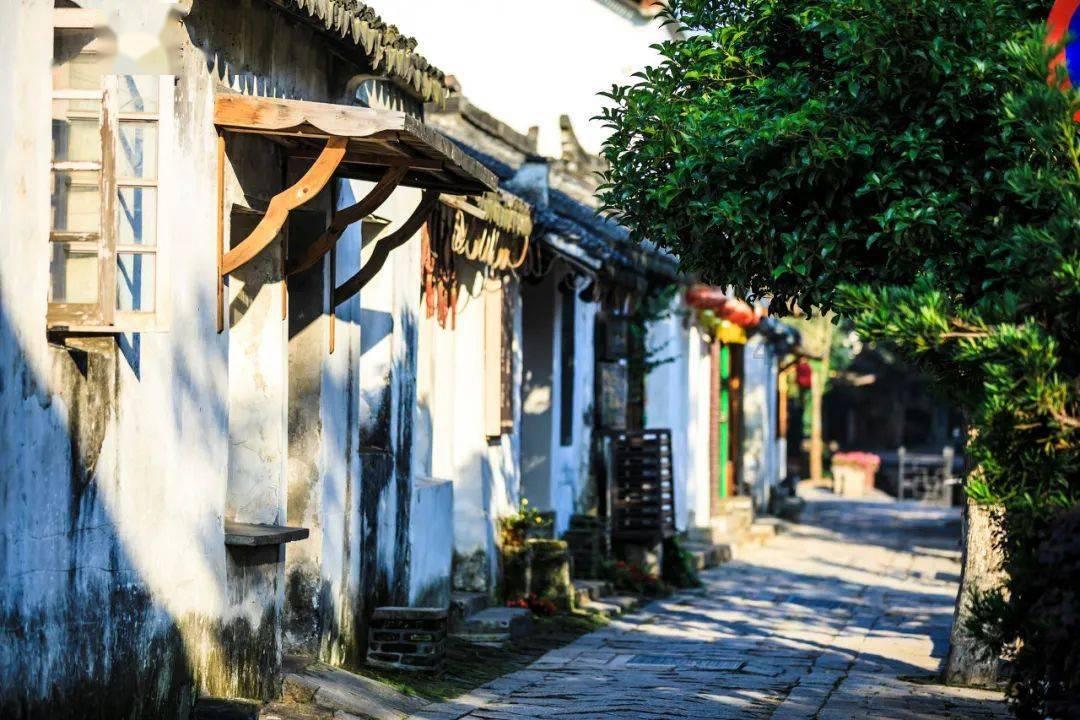 联合国终于看不下去了,以色列“末日”已至,国际法院还是出手了